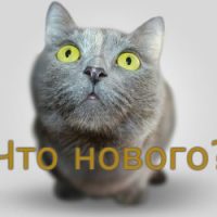 О переменах на блоге и о конкурсе для вас